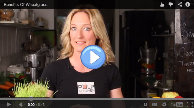 Benefits of Wheat Grass